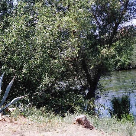 Sequoia Riverfront Cabins Three Rivers Dış mekan fotoğraf